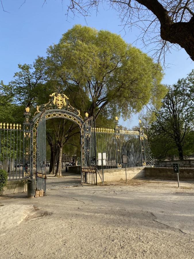 Hostel Flamingo Nimes Gare Centre מראה חיצוני תמונה
